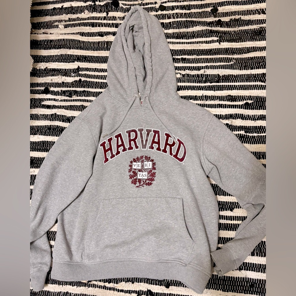 H&M size medium, womens Gray Hoodie Sweater